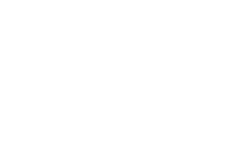 AufgussArt